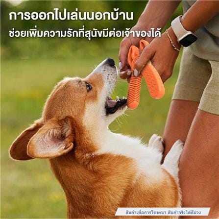 ของเล่นสุนัข MOMOVIDA DT-12 สีม่วง_1