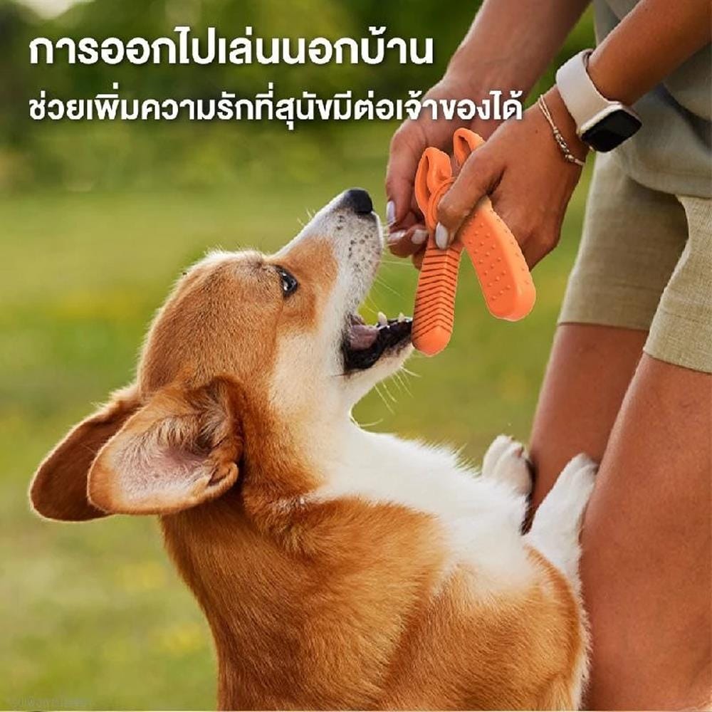 ของเล่นสุนัข MOMOVIDA DT-12 สีส้ม