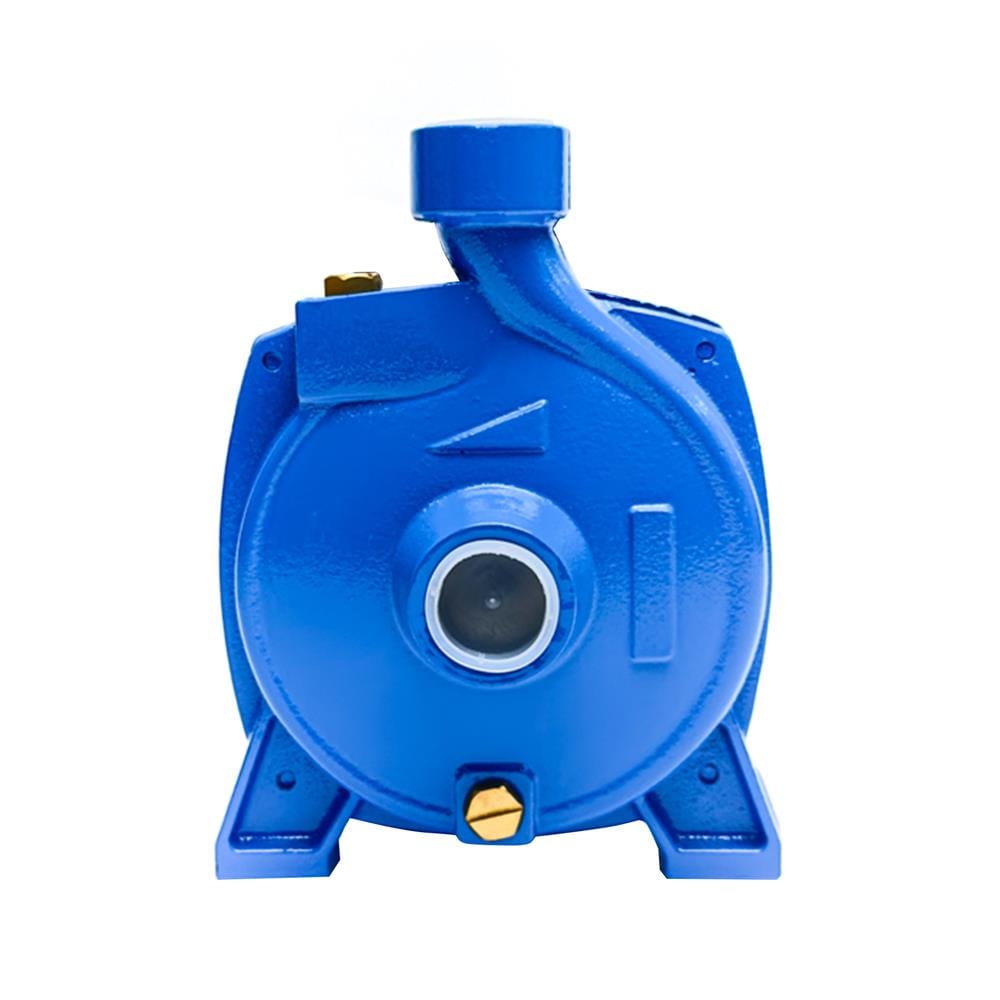 ปั๊มหอยโข่ง RADISON RDC50 0.5 แรงม้า
