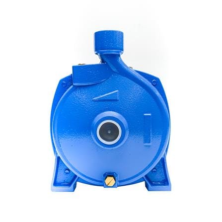 ปั๊มหอยโข่ง RADISON RDC110 1 แรงม้า_1