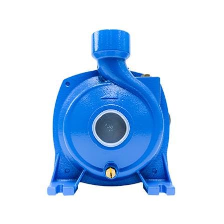 ปั๊มหอยโข่ง RADISON RDC150 1 แรงม้า_1