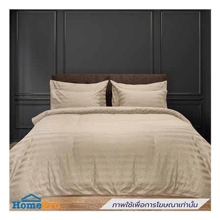 ปลอกผ้านวม PICASSO CT STRIPE 630TC 90x100 นิ้ว สี BROWN_5