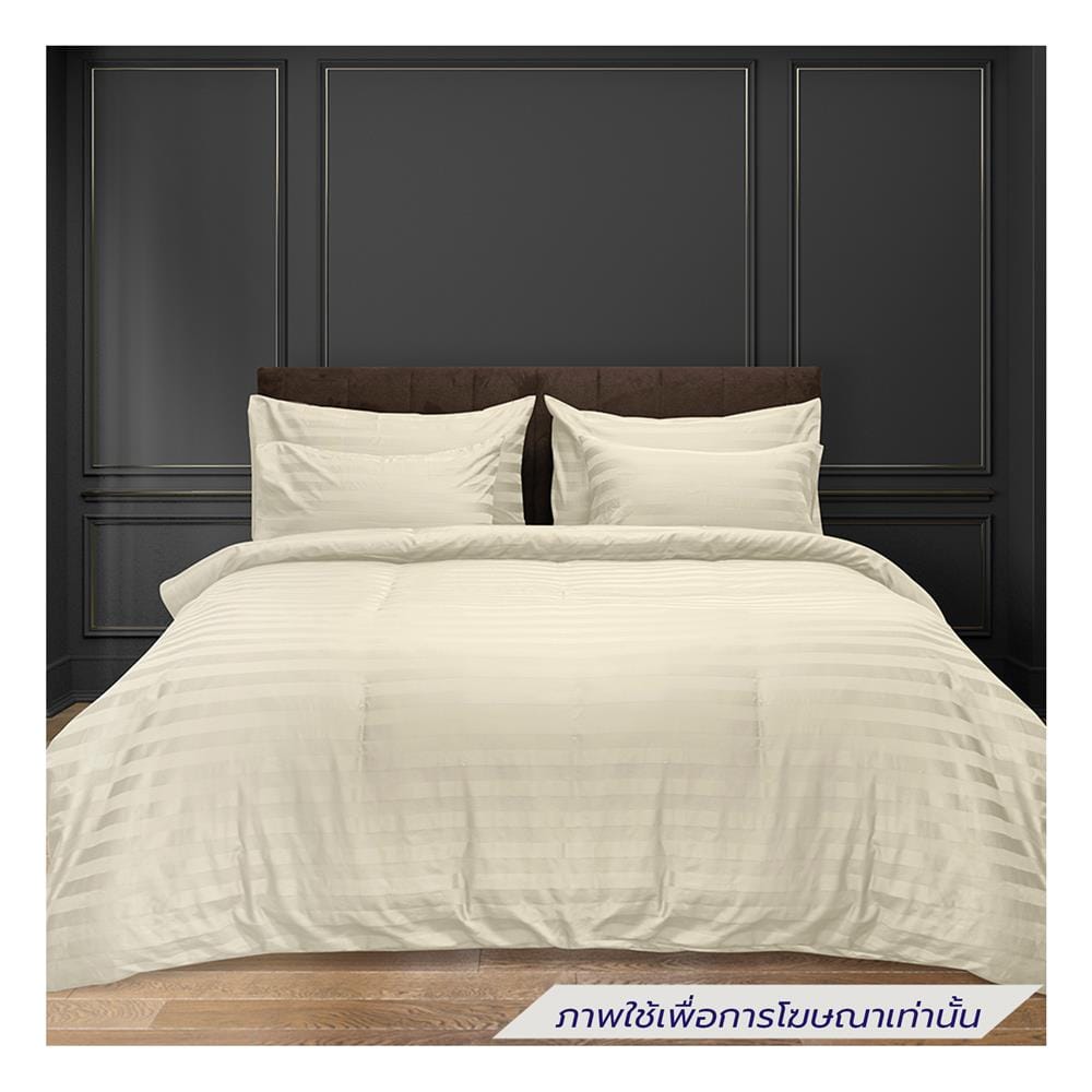ผ้าปูที่นอน PICASSO COTTON STRIPE 630TC 60x78 นิ้ว สี CREAM