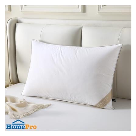 หมอนหนุน ขนห่าน BENETTA EXTRA GOOSE DOWN FIRM 22x35 นิ้ว สีขาว_5