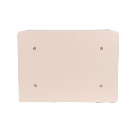ตู้นิรภัย FINGERPRINT FURDINI F3401S สีชมพู_7