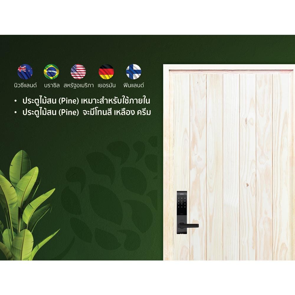 ประตูไม้สนนิวซีแลนด์ D2D ECO PINE-802 90x200 ซม. สีธรรมชาติ ไม่เจาะลูกบิด