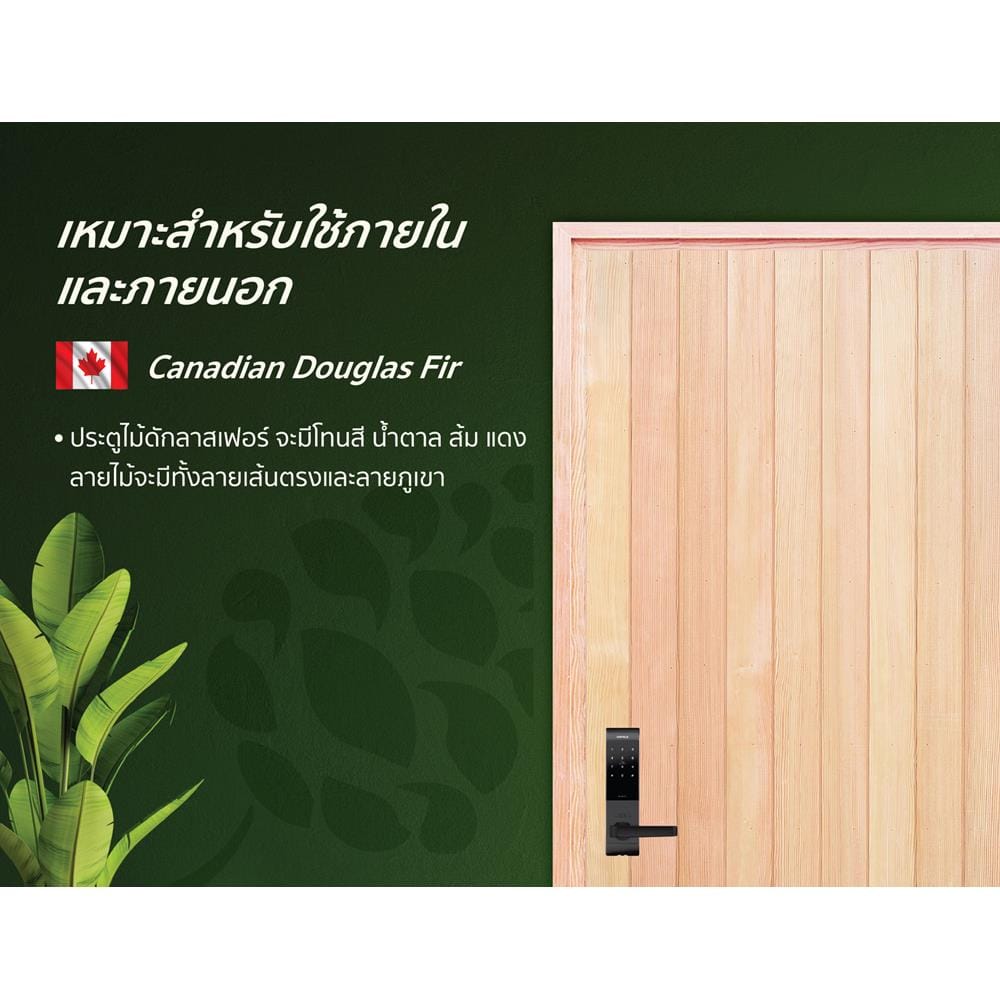 ประตูไม้ดักลาสเฟอร์ ไม่เจาะลูกบิด D2D EcoPine-802 80x200 ซม. สีธรรมชาติ