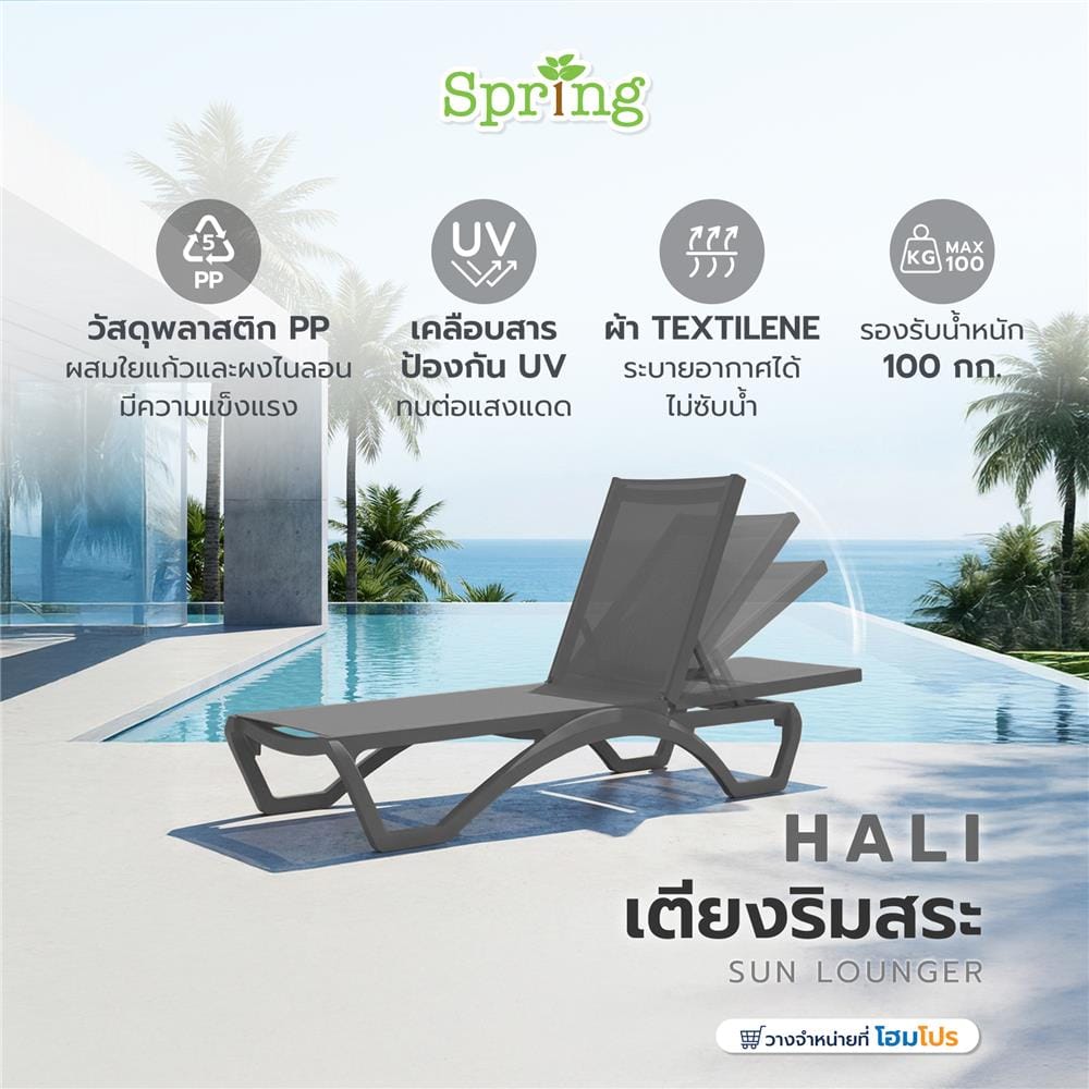 เตียงริมสระ SPRING HALI สีดำ