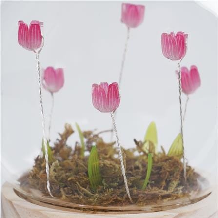 กล่องไฟตกแต่ง SNAZZ บอลแก้ว TULIP LAVENDER_2