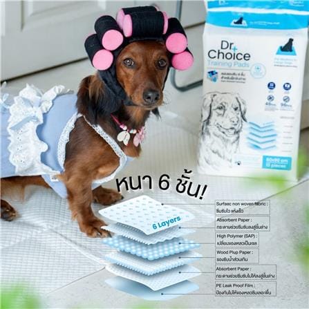 แผ่นรองซับ DR.CHOICE SIZE M 45x60 ซม. (แพ็ก 50 ชิ้น)_3