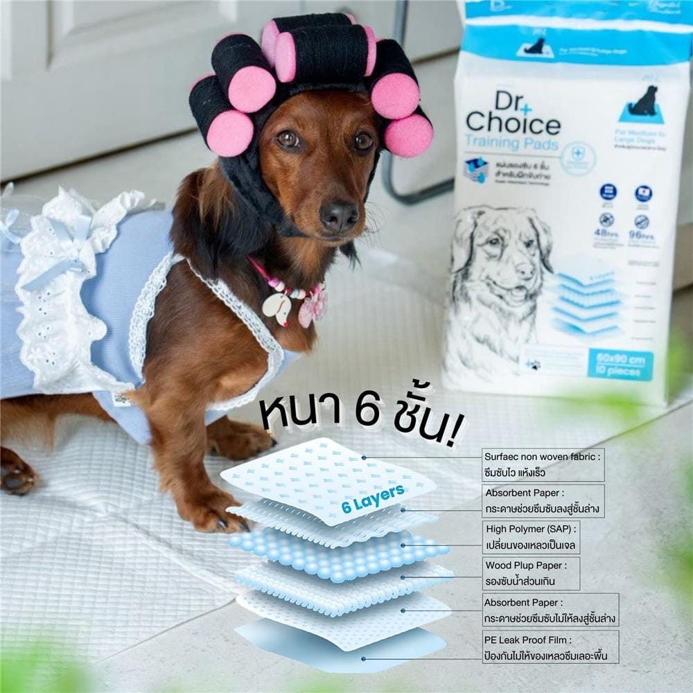 แผ่นรองซับ DR.CHOICE SIZE M 45x60 ซม. (แพ็ก 10 ชิ้น)