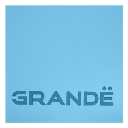 เสื่อโยคะ GRANDE PU TPE สีฟ้า/ดำ_2