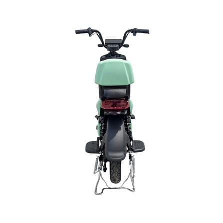 จักรยานไฟฟ้า EM ECO NATION PLUS 10 นิ้ว สีเขียว_5