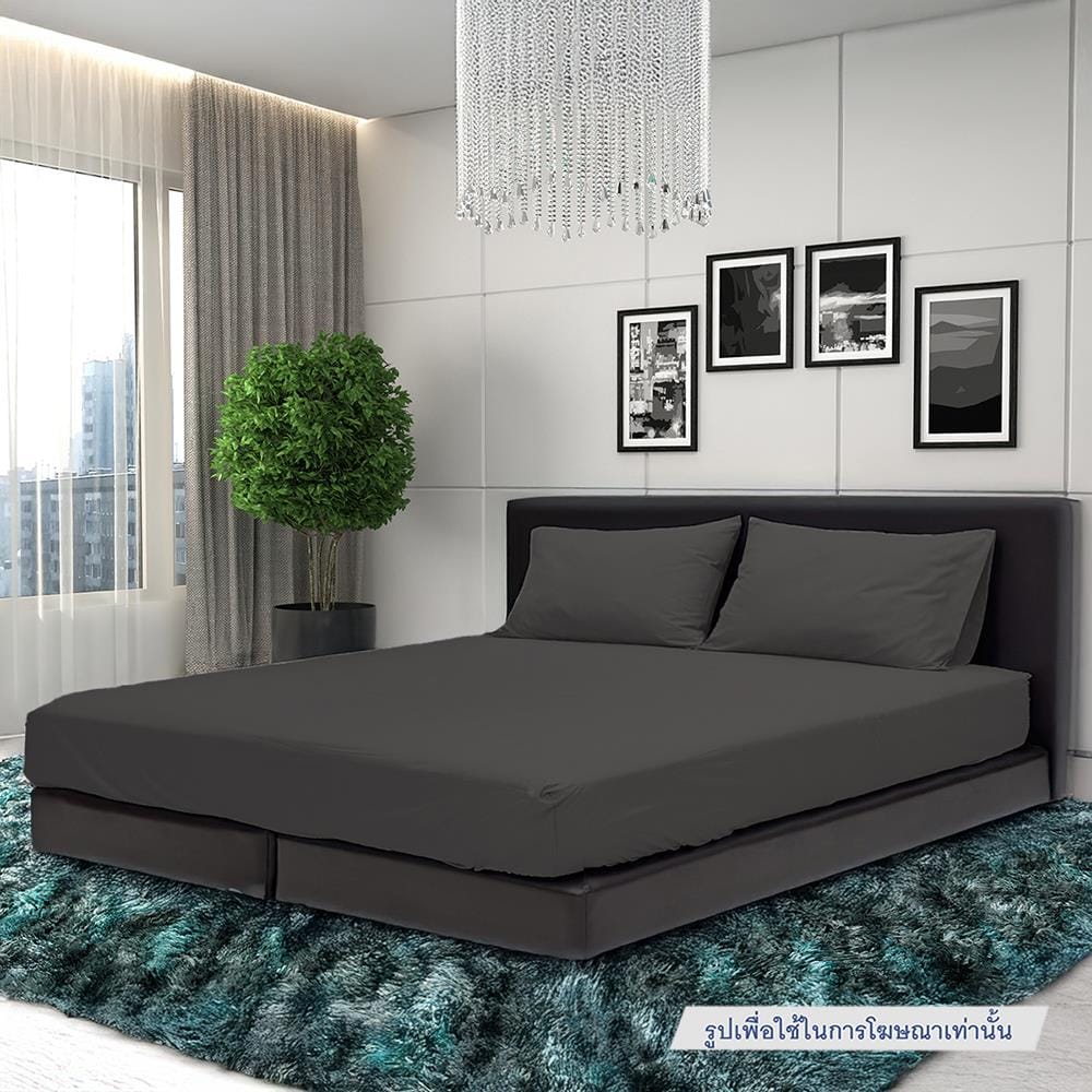 ชุดผ้าปูที่นอน 6 ฟุต (ชุด 5 ชิ้น) STEVENS PURE COTTON DN21DB