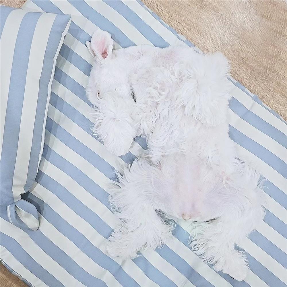 เบาะสุนัข พร้อมปลอก BED CARE FOR PET WR MINI ริ้วครีมฟ้า
