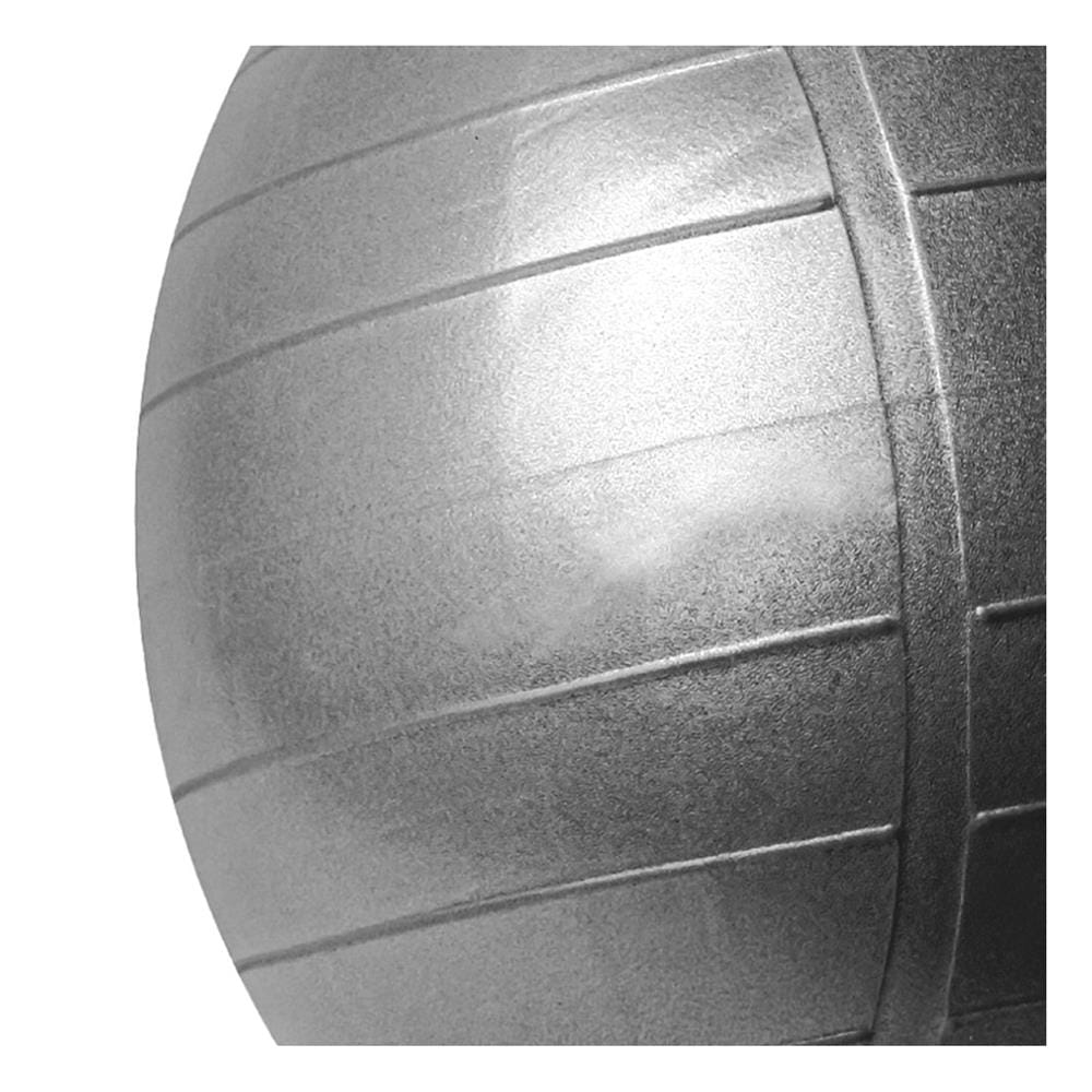 ลูกบอล COMMERCIAL GYM BALL MDBUDDY MD1281 65 ซม.