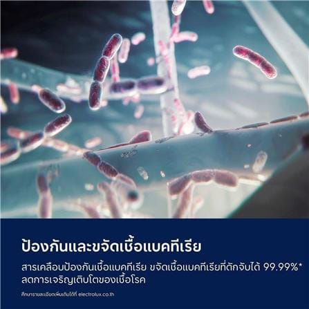แผ่นกรองเครื่องฟอก ELECTROLUX EFFPET4_6