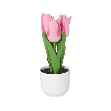 ดอกทิวลิปสีชมพู SPRING 23 ซม._0
