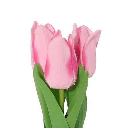 ดอกทิวลิปสีชมพู SPRING 23 ซม._1