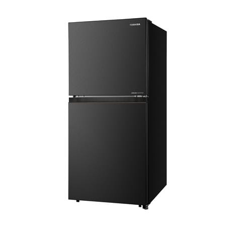 ตู้เย็น 2 ประตู TOSHIBA GR-RT236WE-PMTH(68) 6.4 คิว สีดำ อินเวอร์เตอร์_1
