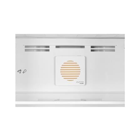 ตู้เย็น 2 ประตู TOSHIBA GR-RT236WE-PMTH(50) 6.4 คิว สีเงินเข้ม_5