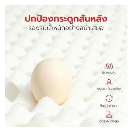 เบาะรองนั่ง PETSTAR PSRW0520 ไซส์ M สีเขียว-ขาว_6
