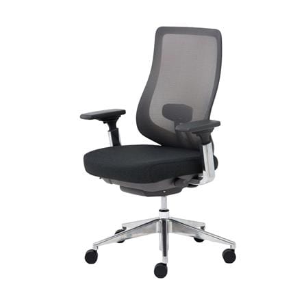 เก้าอี้สุขภาพ MODERNFORM SERIES 16 PREMIUM สีเทา_0