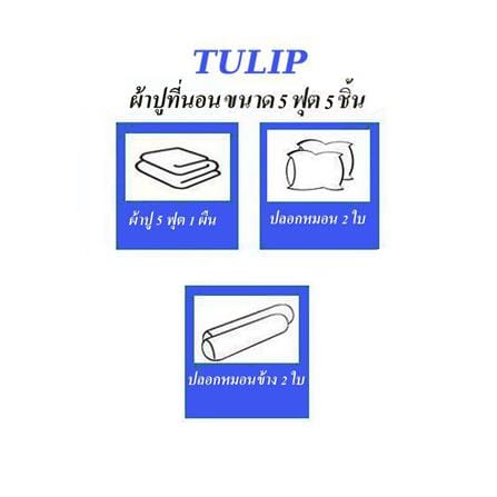 ชุดผ้าปูที่นอน 5 ฟุต (ชุด 5 ชิ้น) TULIP WINNIE THE POOH 60112-DLD049_6