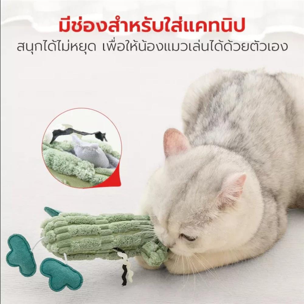 ไม้ล่อแมว PETSTAR PSTZ0408 สีเขียว