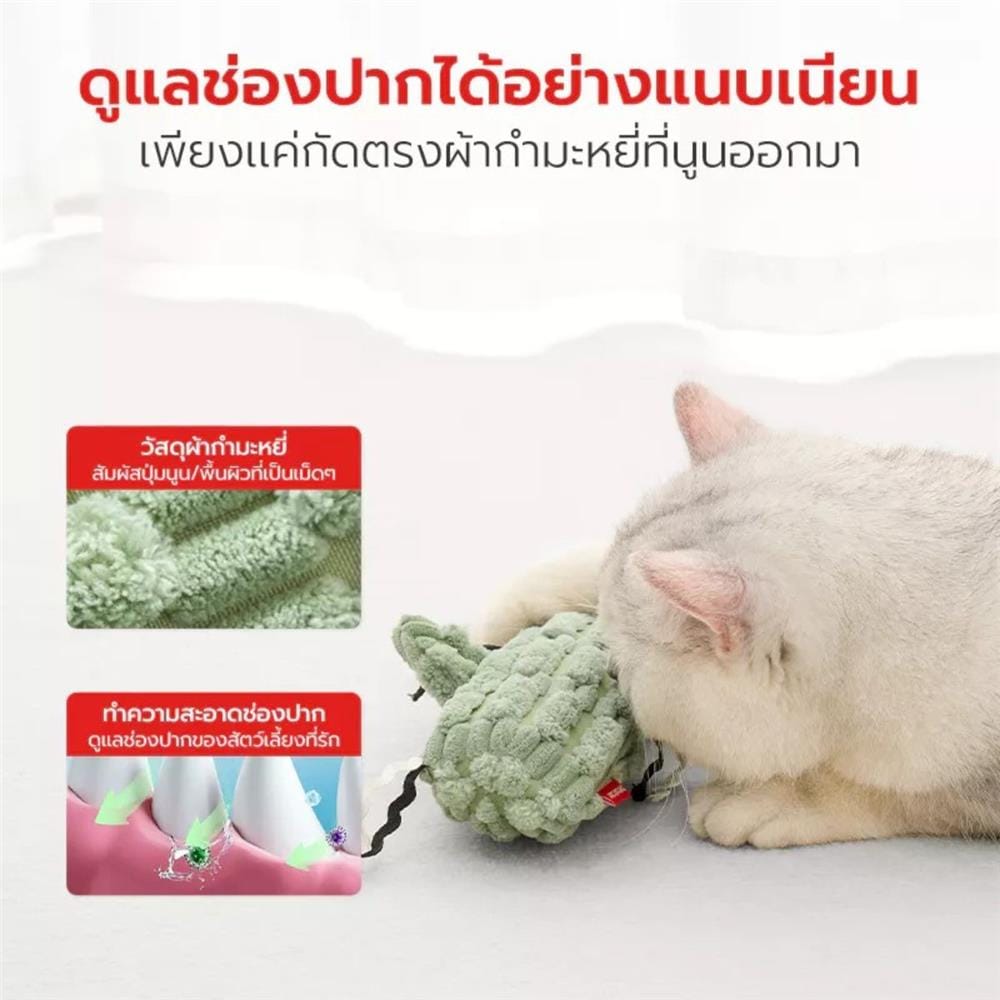 ไม้ล่อแมว PETSTAR PSTZ0408 สีเขียว