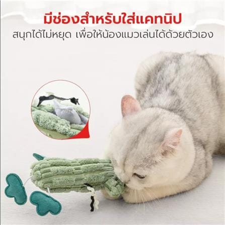 ไม้ล่อแมว PETSTAR PSTZ0408 สีเขียว_7