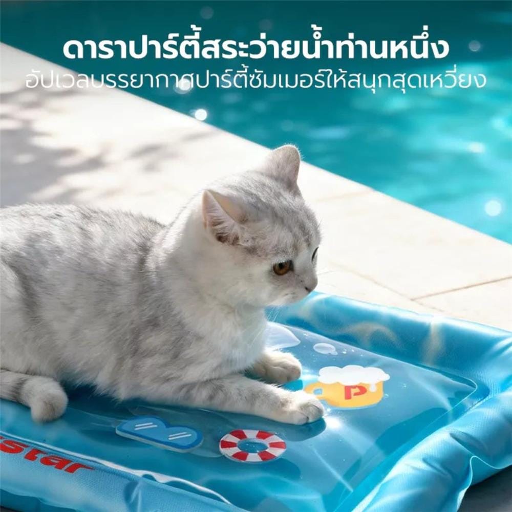 เบาะรองนั่ง PETSTAR PSRW0586