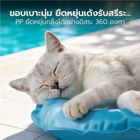 เบาะรองนั่ง PETSTAR PSRW0586_6