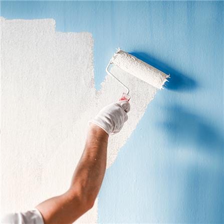 cate-Painting Service