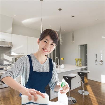 cate-Home Cleaning