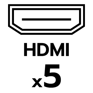 feature icon