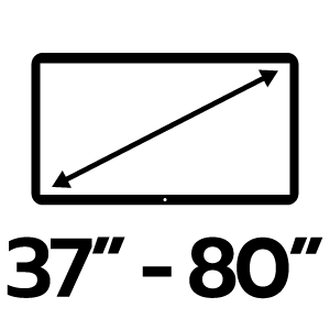 feature icon
