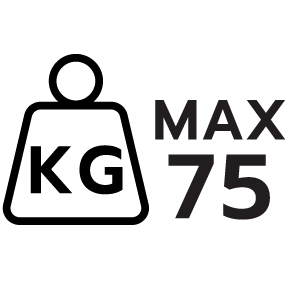 feature icon