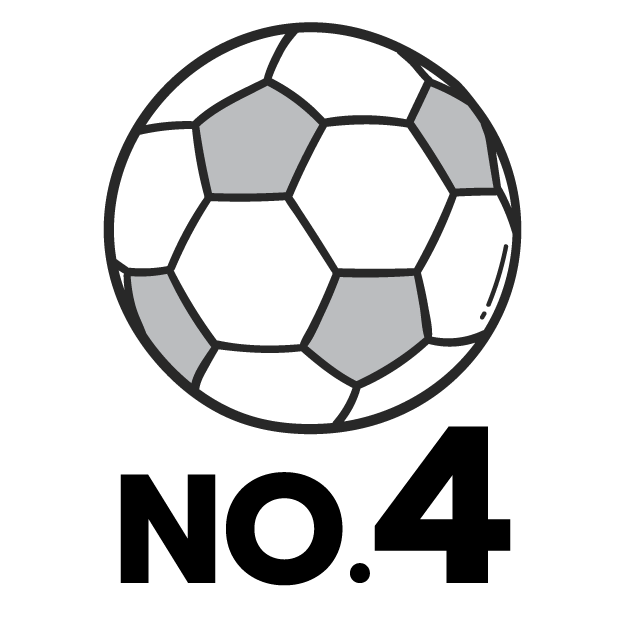 feature icon