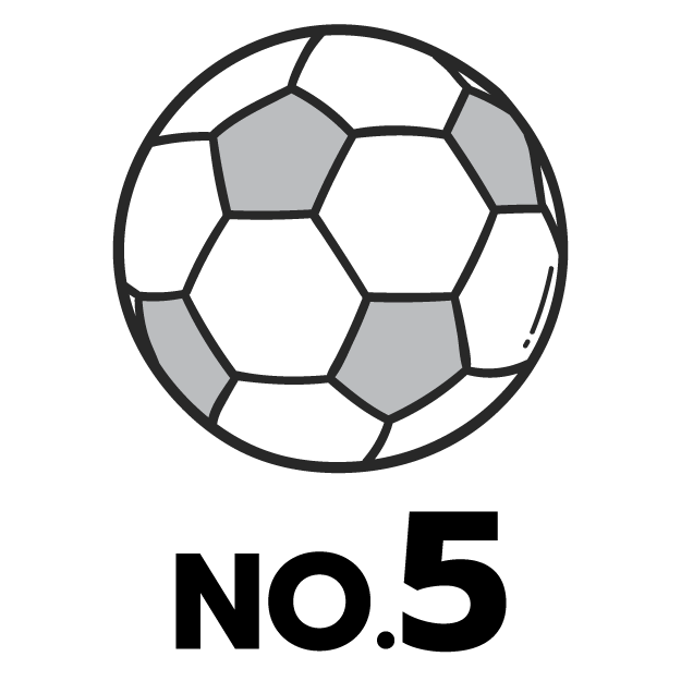 feature icon