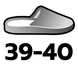 feature icon