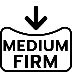 feature icon