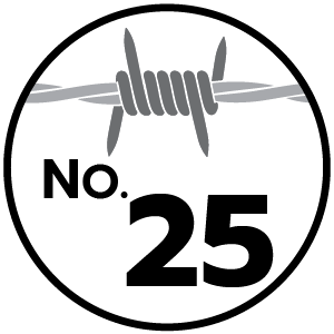 feature icon