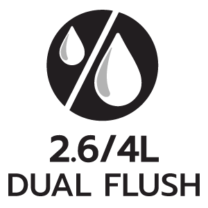 feature icon