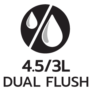 feature icon