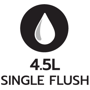 feature icon