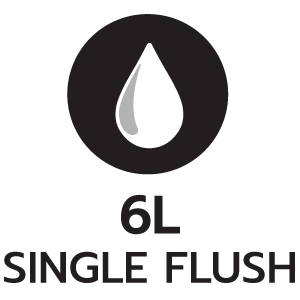 feature icon
