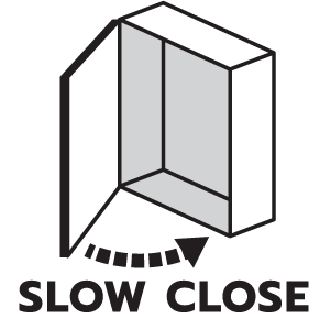 feature icon