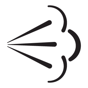 feature icon