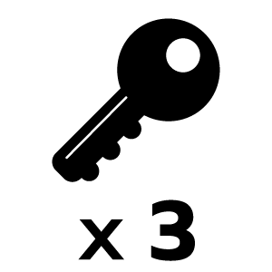 feature icon